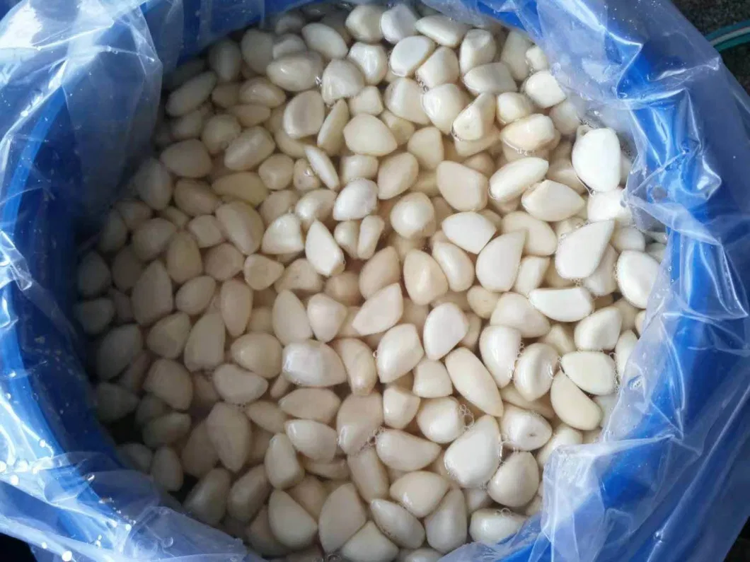 Whole Sale Peeled Garlic in Brine Manufacture