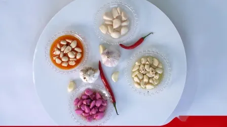 ニンニクの塩漬けニンニクの輸出業者