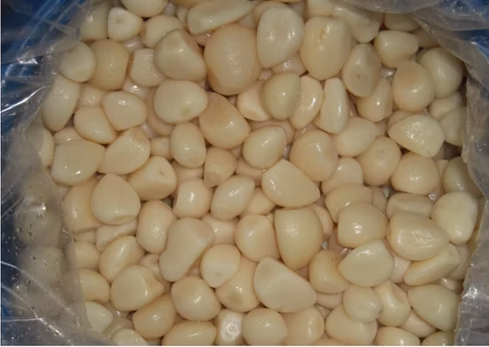 ガラス瓶に詰められた高品質の塩漬けニンニク